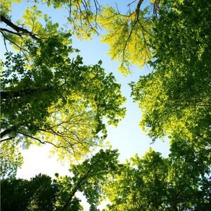 Meet your Posher, So